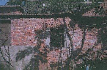62640012.JPG