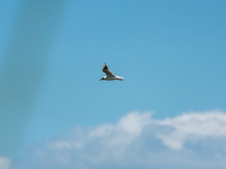 1969F4EF-6037-4D01-974F-CD1F29ED2B9A/L0/001