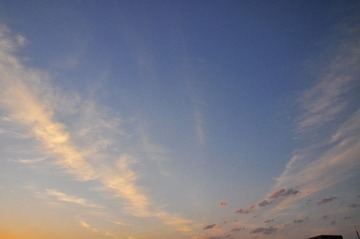 DSC_0176.JPG