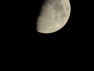 1000062652