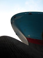 IMG_0603.jpg