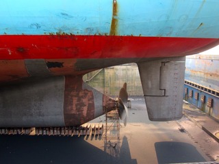 IMG_0554.jpg