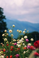 36BB1182-339F-4678-9F4E-BD2AAEC9FE68/L0/001