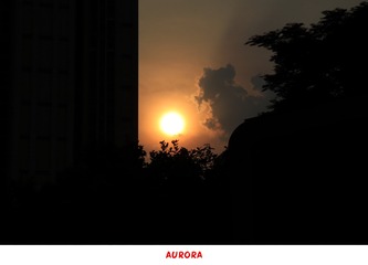 CC5D5C53-4BF5-484C-9DD3-C2290D4EB07D/L0/001