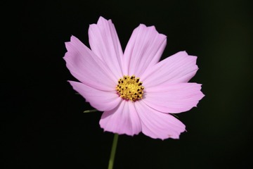 60C7D30E-E792-4CC3-99FA-2121ED54D873/L0/001