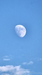 84352B68-F80E-46D5-B799-1EA144E21466/L0/001