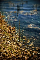 IMG_0097.JPG