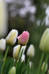 IMG_2199.JPG