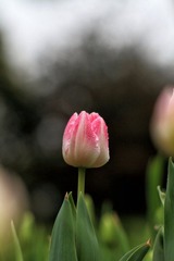 IMG_2247.JPG
