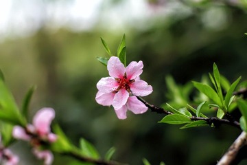 IMG_2371.JPG