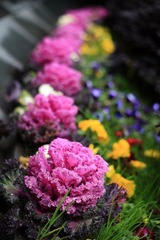 IMG_7585.JPG