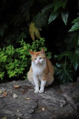 IMG_6598.JPG
