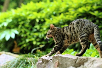 IMG_8744.JPG