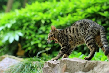 IMG_8745.JPG