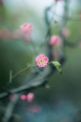 _DSC8170
