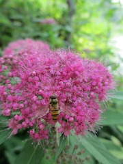 IMG_0340.JPG