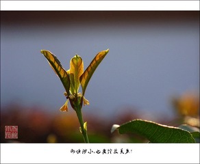 DSCF2262wxc800x1.jpg
