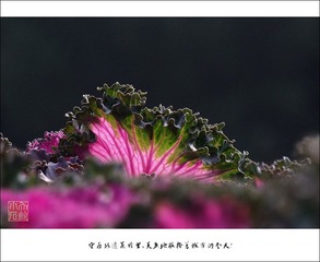 DSCF2559xc800x1.jpg