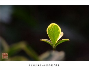 DSCF2794axc800x1.jpg
