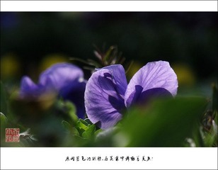 DSCF2816axc800x1.jpg