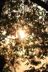 D394A958-319B-4BA8-9C08-6FC7AC0FF374/L0/001