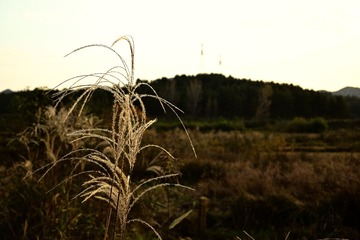 92378E36-0DD3-448C-8C8B-28DA35EE9DAA/L0/001