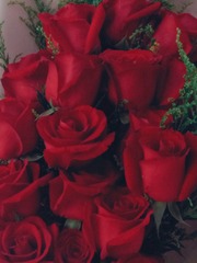 53F082D5-160A-4D5E-BA0F-E6C01A5C2DA7/L0/001