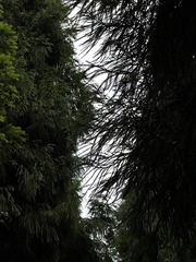 00FAE979-37C9-4CAF-9A73-30E70E18AC2A/L0/001