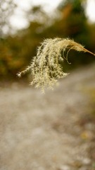 A0279D5C-EB2E-435D-90FA-57BCF59105A6/L0/001