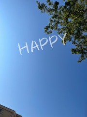 93928B9F-4C09-4F1B-B0D3-F7EC659CD517/L0/001