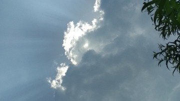 3855927