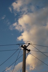 137410