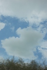 142042