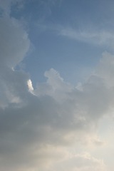 123018