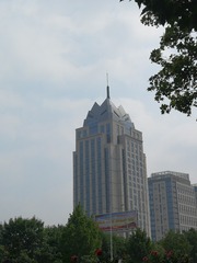 18491