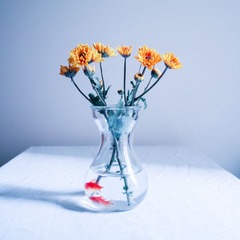 DP1Q0379_