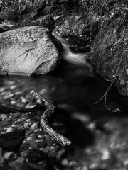 WDHZ0406-1_
