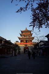 _DSC0377
