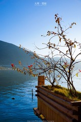 _DSC0438