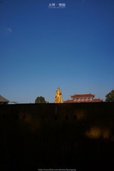 _DSC0529