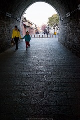 _DSC0375