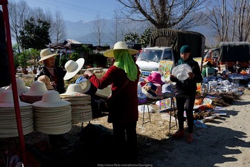_DSC0473