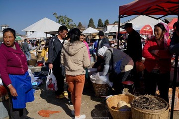 _DSC0480
