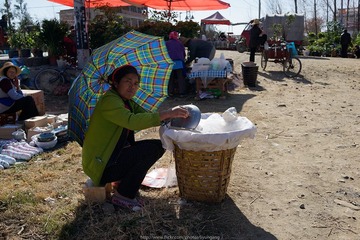 _DSC0491