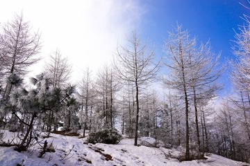 _DSC0343_