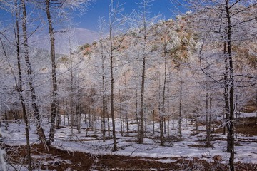 _DSC0345_
