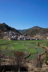 _DSC0565_