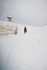DSC00766_