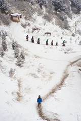 DSC00802_