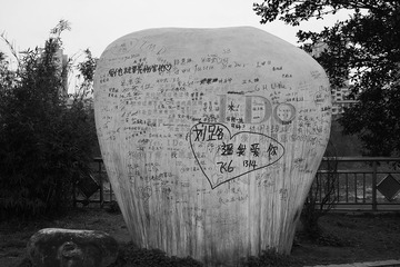 DP2M0081